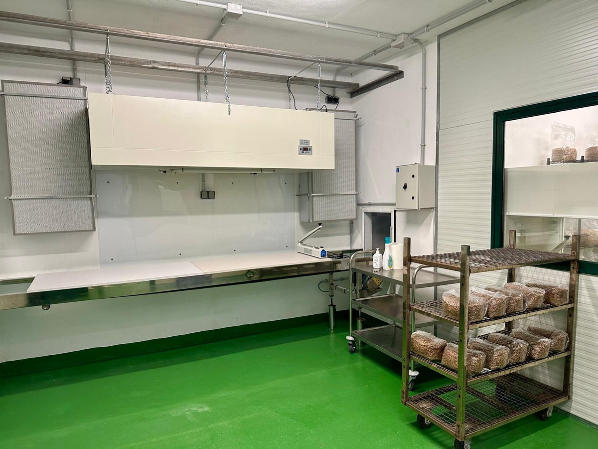 Ready spawn is refrigerated and later used to inoculate sterilised substrate in our inoculation room.