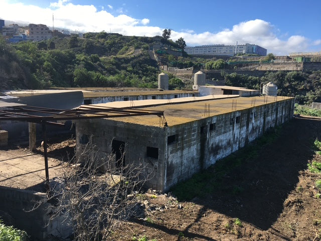 This was how our farm looked in 2019 after a general removal of overgrown bushes and debris.