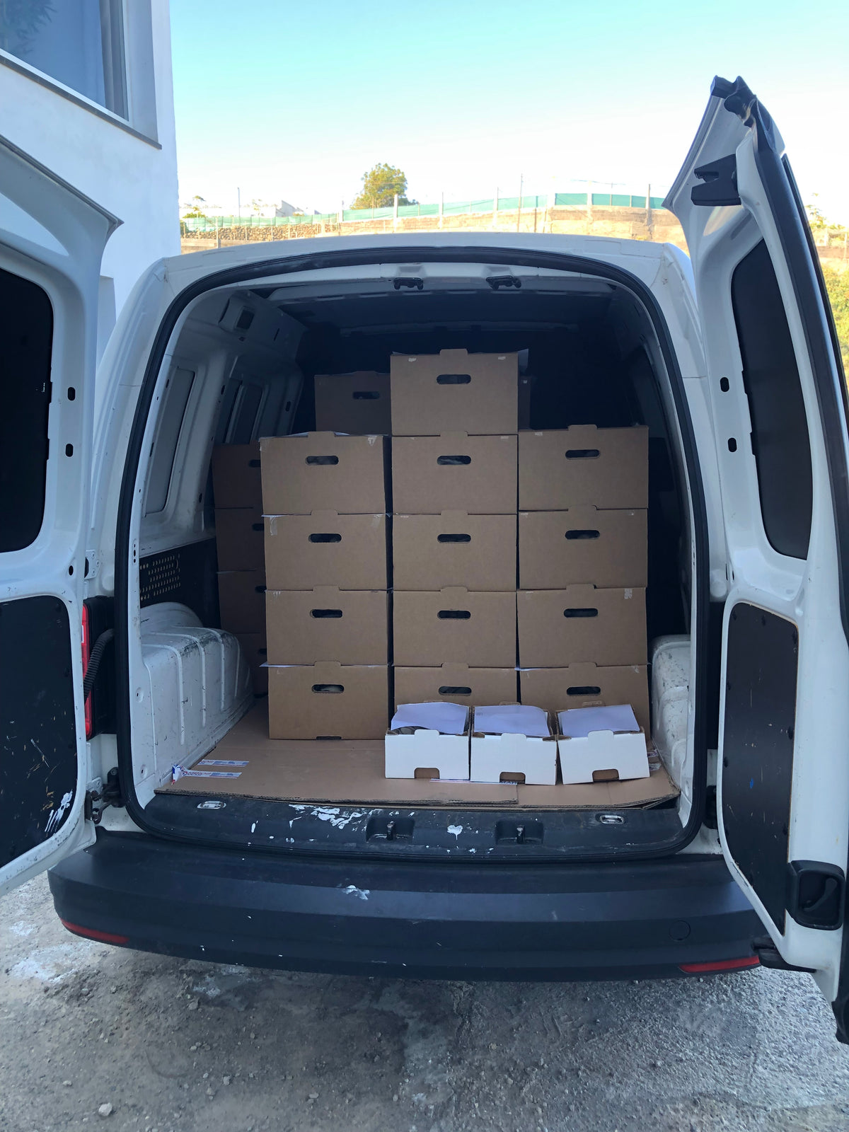 Packing, expediting, and delivering our gourmet mushrooms to our clients.