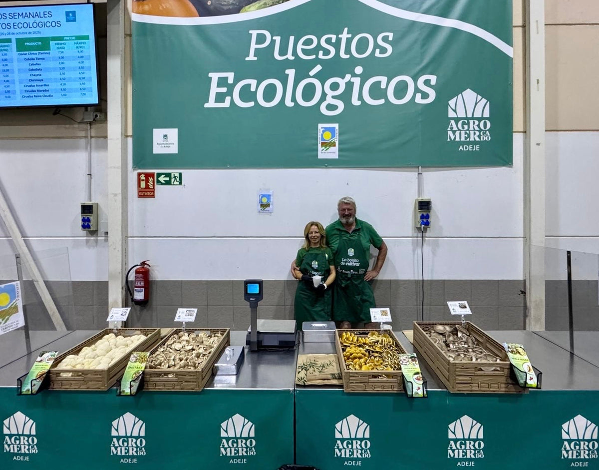 The mushroom stand of Yurena and Victor on the Farmer's Market of La Guancha, and our stand on the Farmer's Market of Adeje.